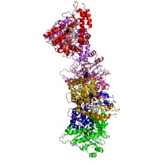 Example Structure of 2-aminoethylphosphonate-pyruvate transaminase EC#: 2.6.1.37