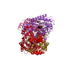 Example Structure of 2-aminoadipate transaminase EC#: 2.6.1.39