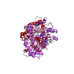 Example Structure of tyrosine transaminase EC#: 2.6.1.5