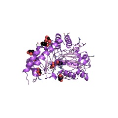 Example Structure of serine-pyruvate transaminase EC#: 2.6.1.51
