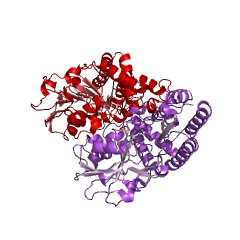 Example Structure of phosphoserine transaminase EC#: 2.6.1.52