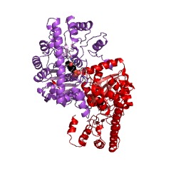 Example Structure of aromatic-amino-acid transaminase EC#: 2.6.1.57