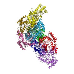 Example Structure of dTDP-4-amino-4,6-dideoxygalactose transaminase EC#: 2.6.1.59