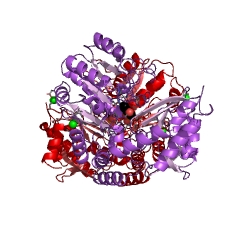 Example Structure of adenosylmethionine-8-amino-7-oxononanoate transaminase EC#: 2.6.1.62