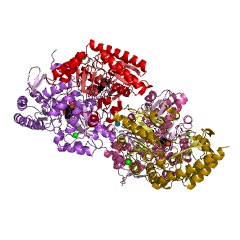 Example Structure of succinylornithine transaminase EC#: 2.6.1.81