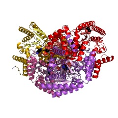 Example Structure of putrescine-2-oxoglutarate transaminase EC#: 2.6.1.82