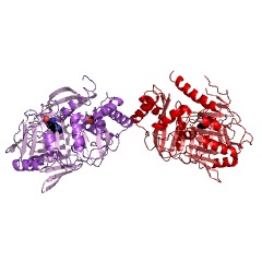 Example Structure of aminodeoxychorismate synthase EC#: 2.6.1.85