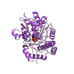 Example Structure of UDP-4-amino-4-deoxy-L-arabinose aminotransferase EC#: 2.6.1.87