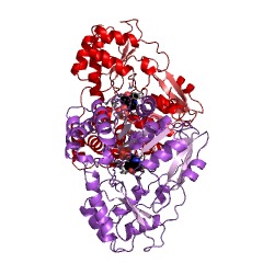 Example Structure of methionine transaminase EC#: 2.6.1.88