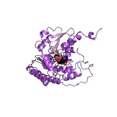 Example Structure of histidinol-phosphate transaminase EC#: 2.6.1.9