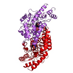 Example Structure of UDP-2-acetamido-2-deoxy-ribo-hexuluronate aminotransferase EC#: 2.6.1.98