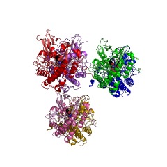 Example Structure of L-tryptophan-pyruvate aminotransferase EC#: 2.6.1.99