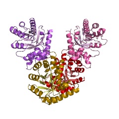 Example Structure of pyridoxine 5'-phosphate synthase EC#: 2.6.99.2