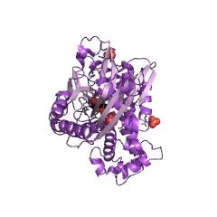 Example Structure of hexokinase EC#: 2.7.1.1