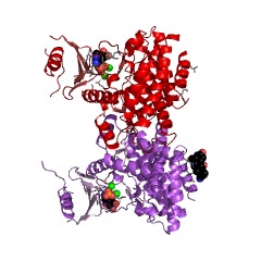 Example Structure of S-methyl-5-thioribose kinase EC#: 2.7.1.100
