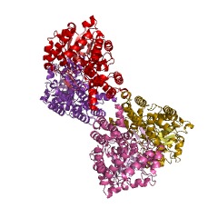 Example Structure of tagatose kinase EC#: 2.7.1.101