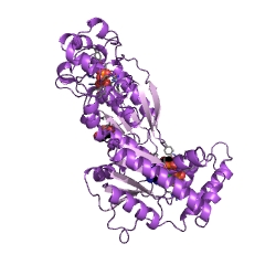 Example Structure of 6-phosphofructo-2-kinase EC#: 2.7.1.105