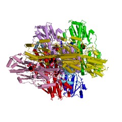 Example Structure of 6-phosphofructokinase EC#: 2.7.1.11