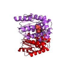 Example Structure of deoxyguanosine kinase EC#: 2.7.1.113