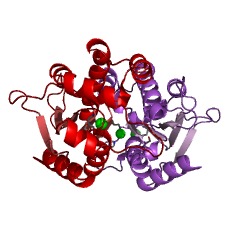 Example Structure of gluconokinase EC#: 2.7.1.12