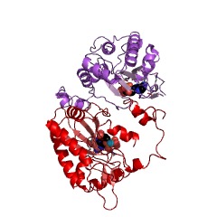 Example Structure of inositol-trisphosphate 3-kinase EC#: 2.7.1.127