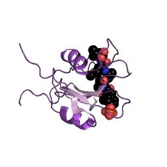 Example Structure of phosphatidylinositol 3-kinase EC#: 2.7.1.137