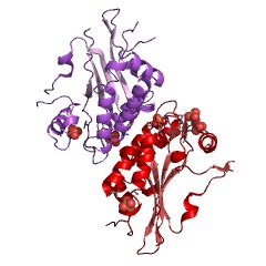 Example Structure of inositol-tetrakisphosphate 5-kinase EC#: 2.7.1.140