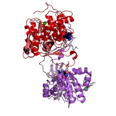 Example Structure of diphosphate-purine nucleoside kinase EC#: 2.7.1.143