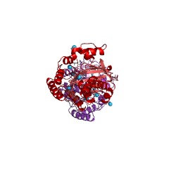 Example Structure of tagatose-6-phosphate kinase EC#: 2.7.1.144