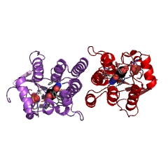 Example Structure of deoxynucleoside kinase EC#: 2.7.1.145