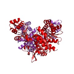 Example Structure of ADP-specific phosphofructokinase EC#: 2.7.1.146