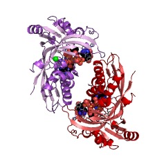 Example Structure of 4-(cytidine 5'-diphospho)-2-C-methyl-D-erythritol kinase EC#: 2.7.1.148