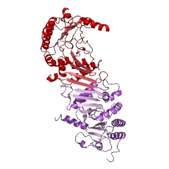 Example Structure of 1-phosphatidylinositol-5-phosphate 4-kinase EC#: 2.7.1.149