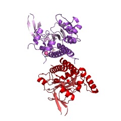 Example Structure of inositol-polyphosphate multikinase EC#: 2.7.1.151