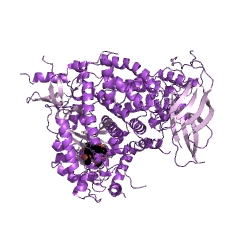 Example Structure of phosphatidylinositol-4,5-bisphosphate 3-kinase EC#: 2.7.1.153