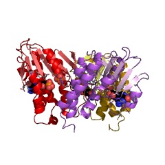 Example Structure of adenosylcobinamide kinase EC#: 2.7.1.156