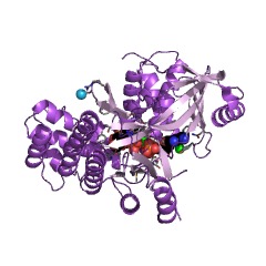 Example Structure of N-acetylgalactosamine kinase EC#: 2.7.1.157