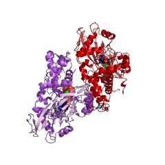 Example Structure of inositol-pentakisphosphate 2-kinase EC#: 2.7.1.158
