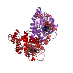 Example Structure of inositol-1,3,4-trisphosphate 5/6-kinase EC#: 2.7.1.159