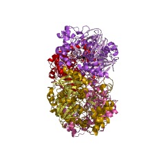 Example Structure of ribulokinase EC#: 2.7.1.16