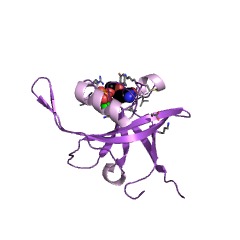Example Structure of CTP-dependent riboflavin kinase EC#: 2.7.1.161