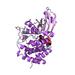 Example Structure of hygromycin B 4-O-kinase EC#: 2.7.1.163