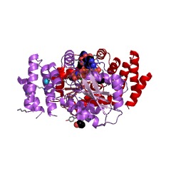 Example Structure of O-phosphoseryl-tRNASec kinase EC#: 2.7.1.164