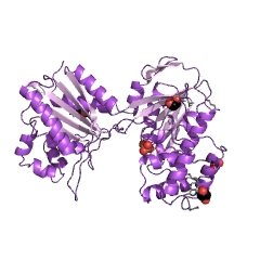 Example Structure of glycerate 2-kinase EC#: 2.7.1.165