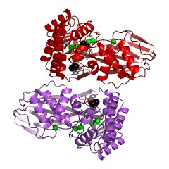 Example Structure of D-glycero-beta-D-manno-heptose-7-phosphate kinase EC#: 2.7.1.167