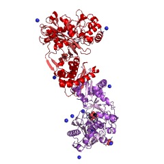 Example Structure of xylulokinase EC#: 2.7.1.17