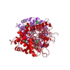 Example Structure of anhydro-N-acetylmuramic acid kinase EC#: 2.7.1.170