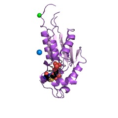 Example Structure of nicotinate riboside kinase EC#: 2.7.1.173