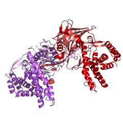 Example Structure of maltokinase EC#: 2.7.1.175