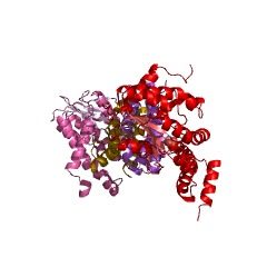Example Structure of UDP-N-acetylglucosamine kinase EC#: 2.7.1.176
